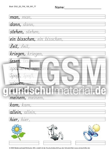 DSS_2S_FW_100_NR_77.pdf